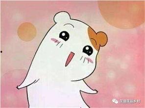 吃瓜福利官,带你领略美食与娱乐的完美融合