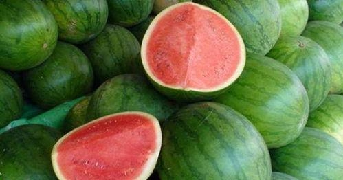 今日何时吃瓜,揭秘今日最佳“吃瓜”时刻